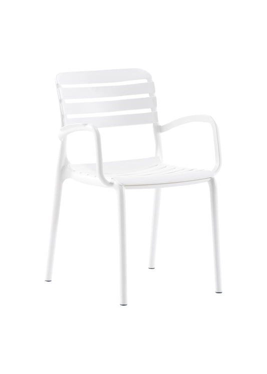 Novussi Notte Koltuk