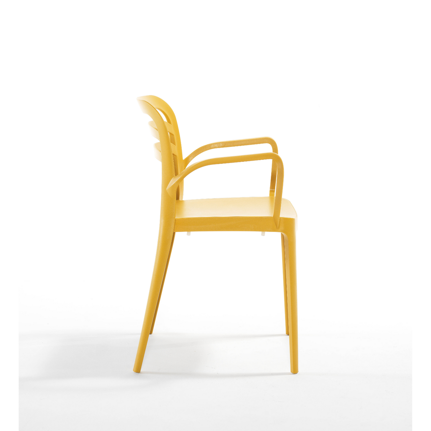 Novussi Aspendos Armchair