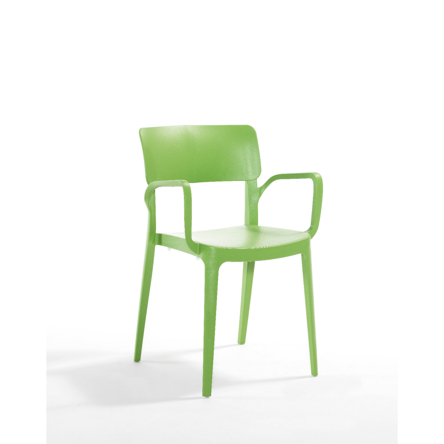 Novussi Panora Armchair