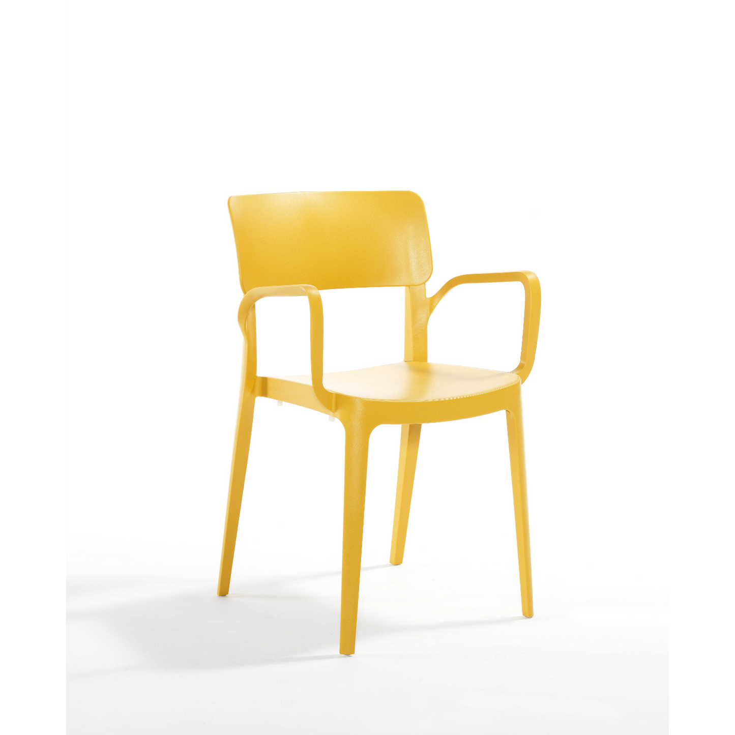 Novussi Panora Armchair