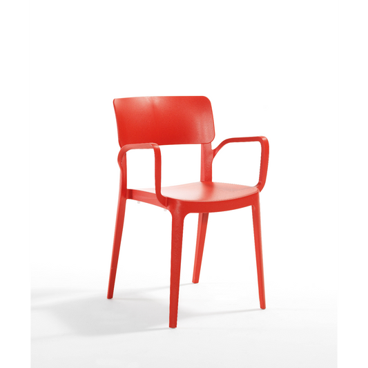 Novussi Panora Koltuk