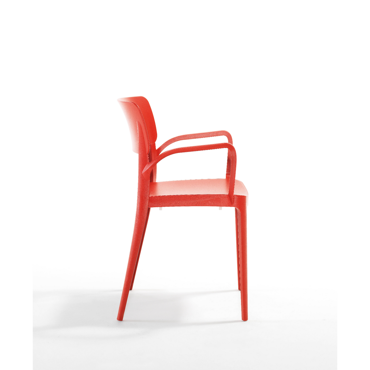 Novussi Panora Armchair