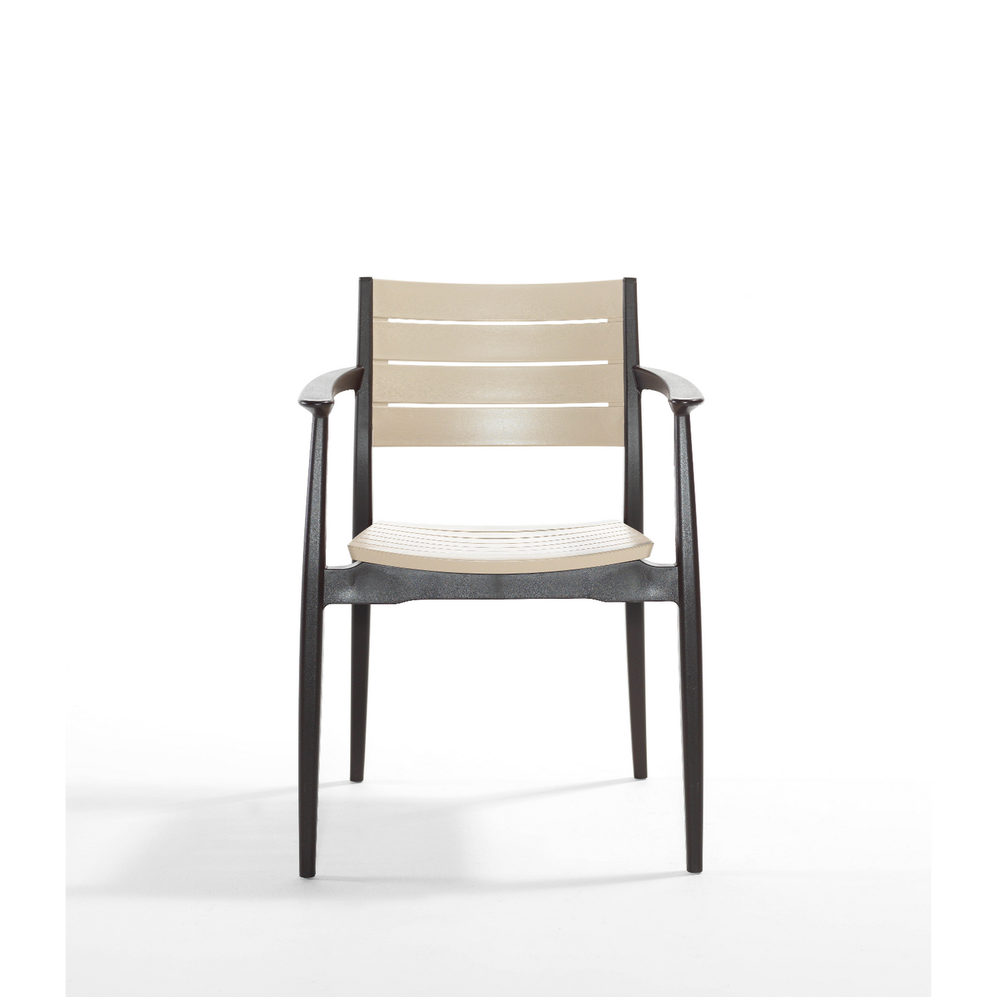 Novussi Regnum Koltuk