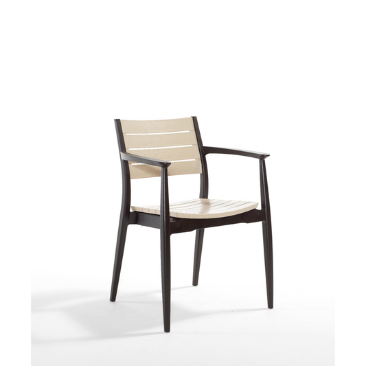 Novussi Regnum Koltuk