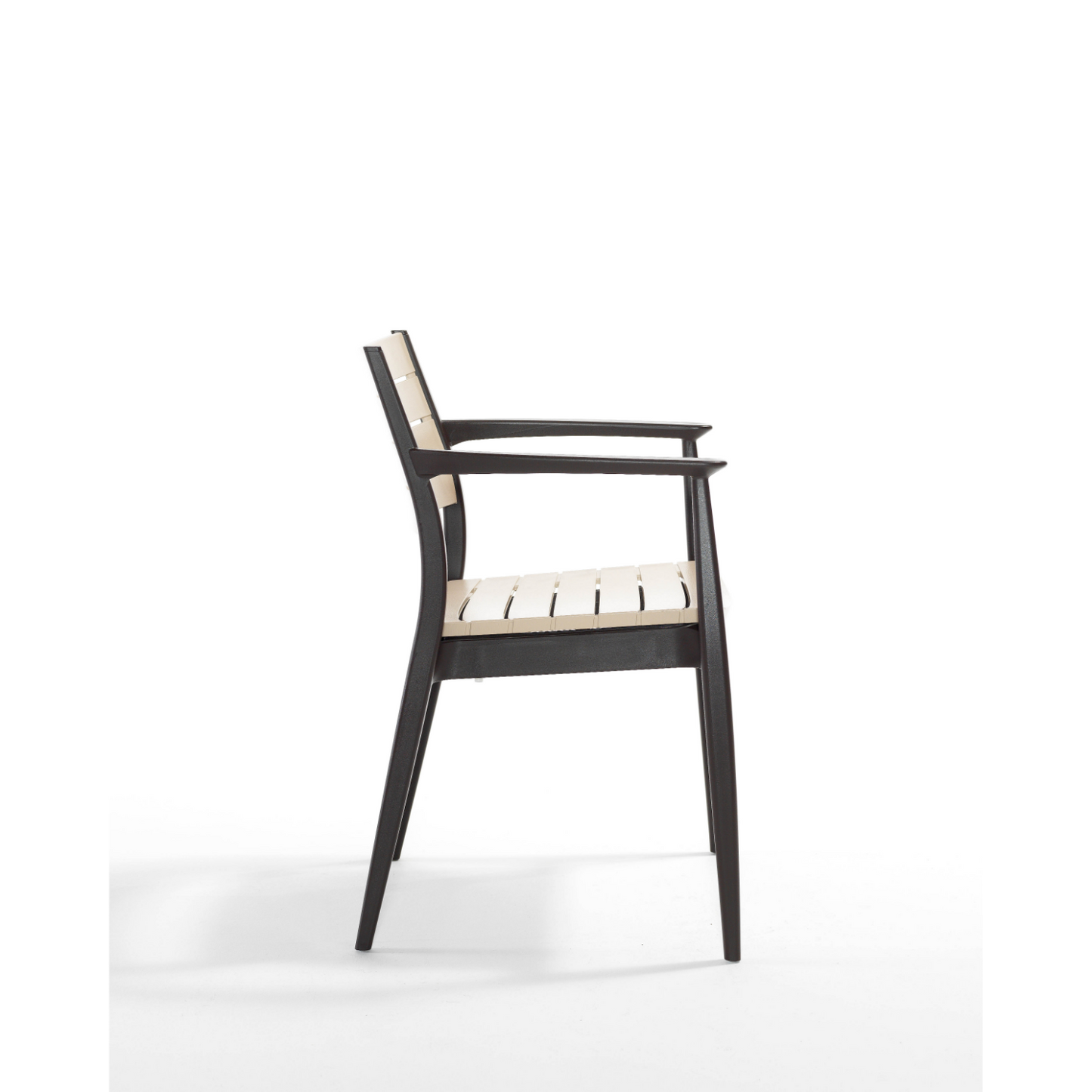 Novussi Regnum Koltuk