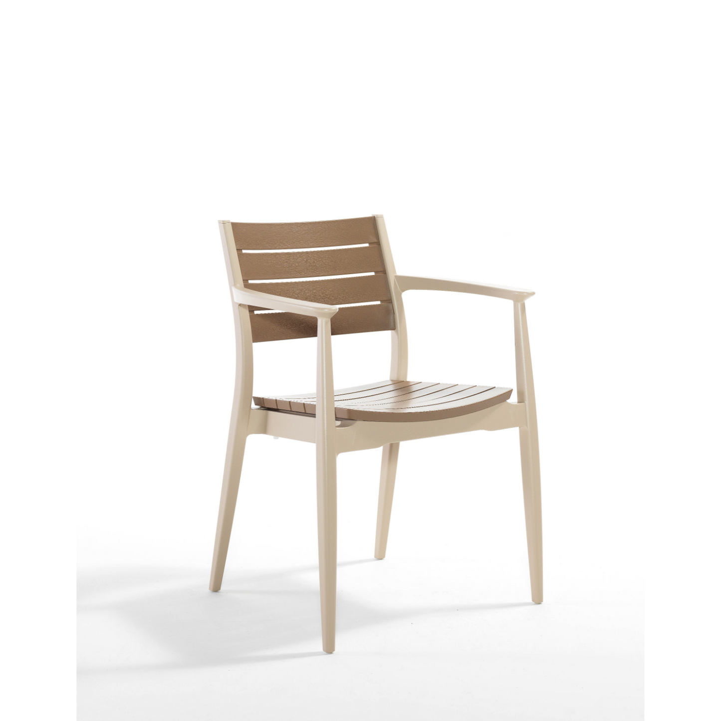 Novussi Regnum Koltuk