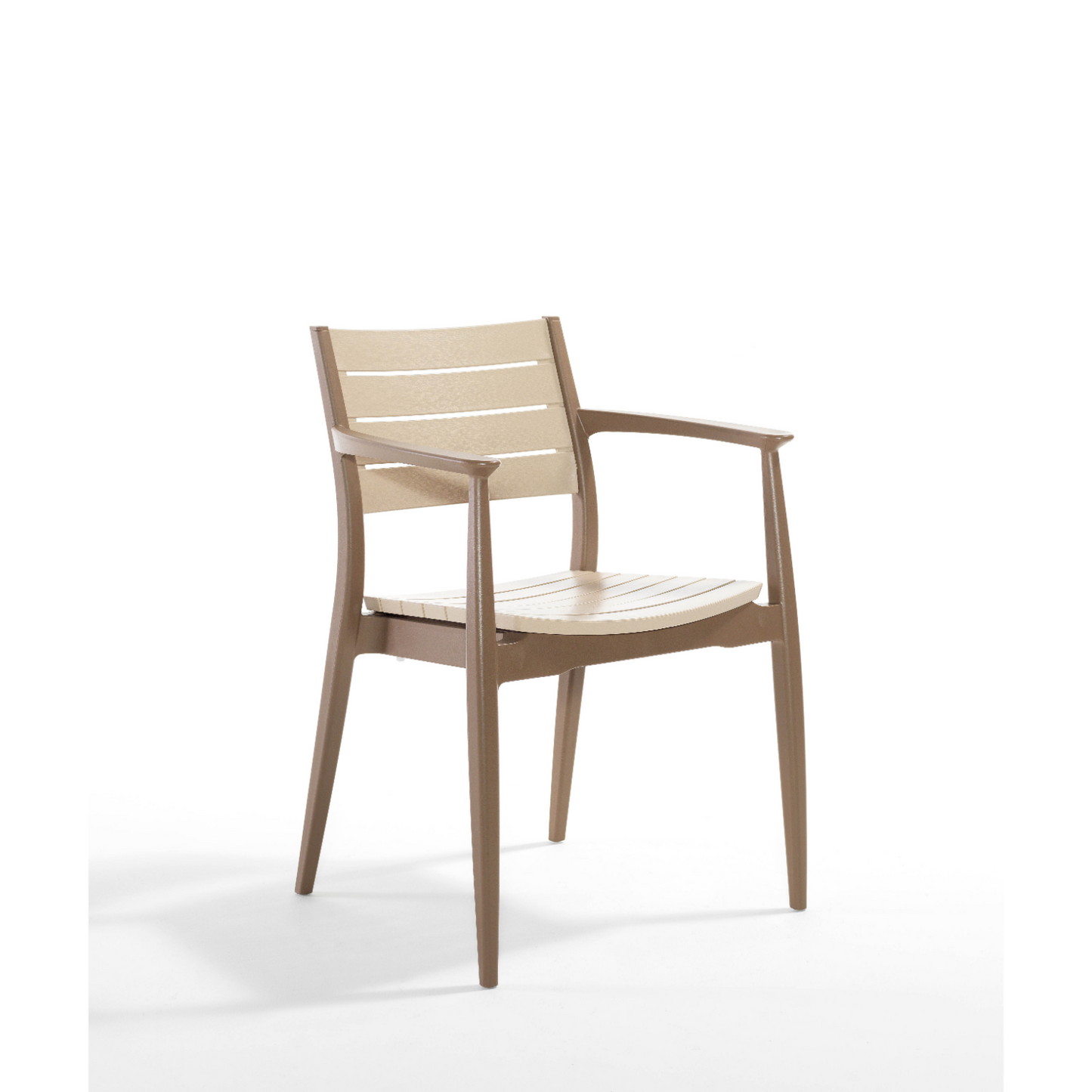 Novussi Regnum Koltuk