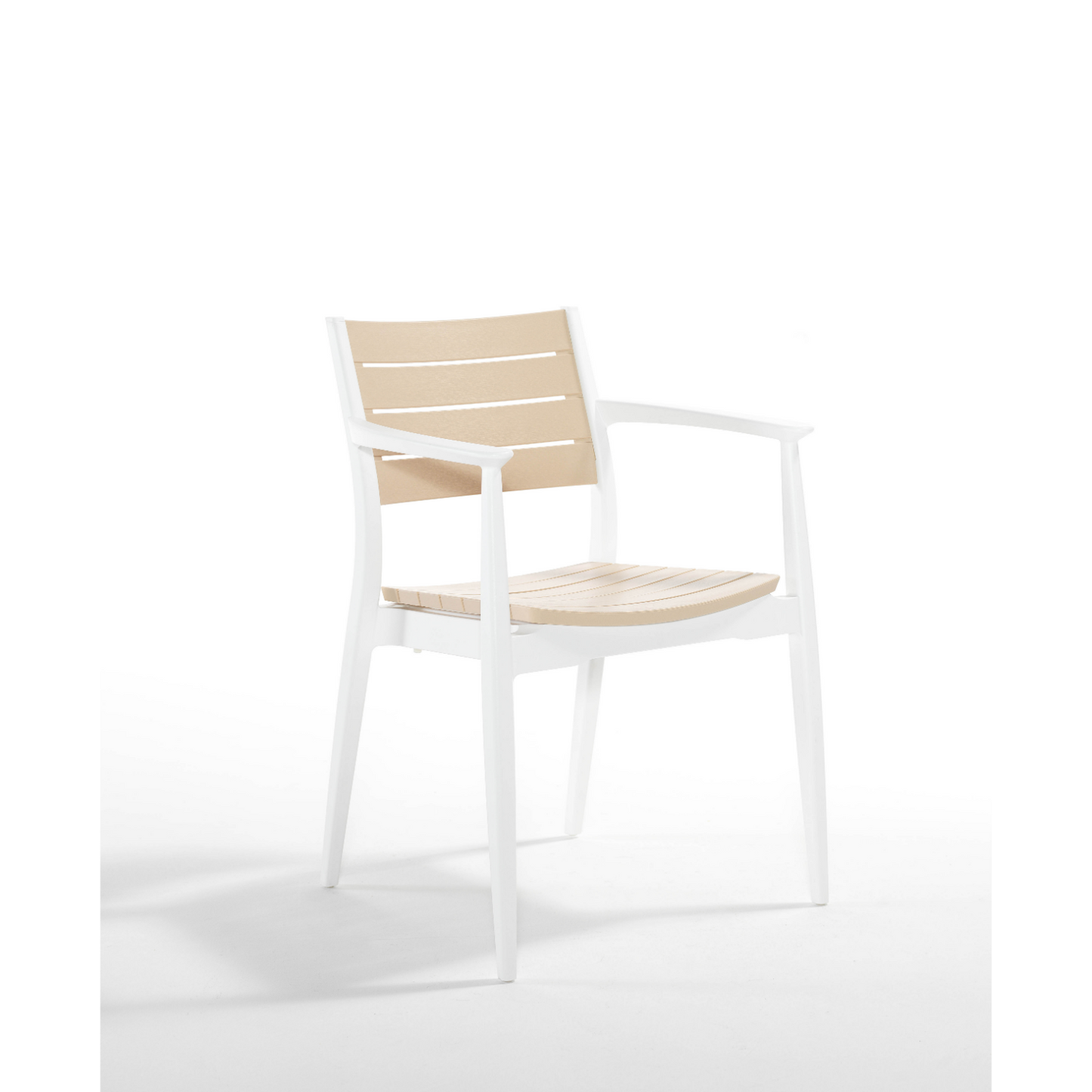 Novussi Regnum Koltuk