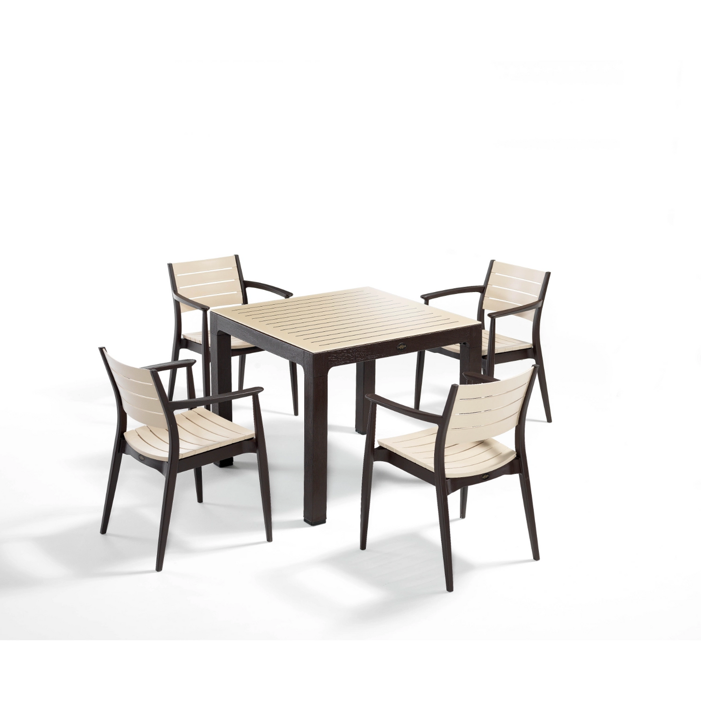 Novussi Regnum Set of 4