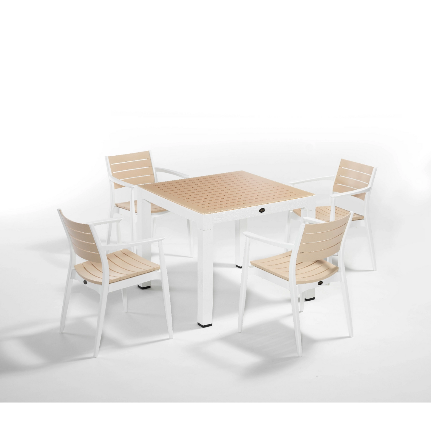 Novussi Regnum Set of 4