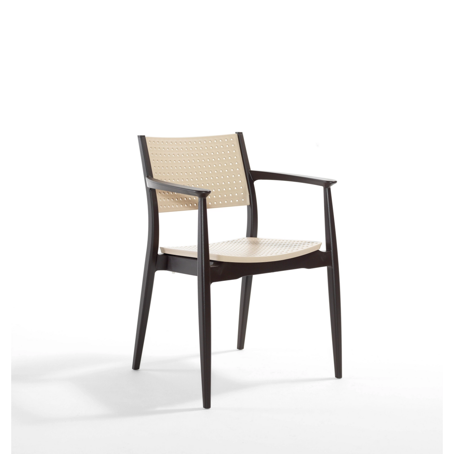 Novussi Seginus Koltuk