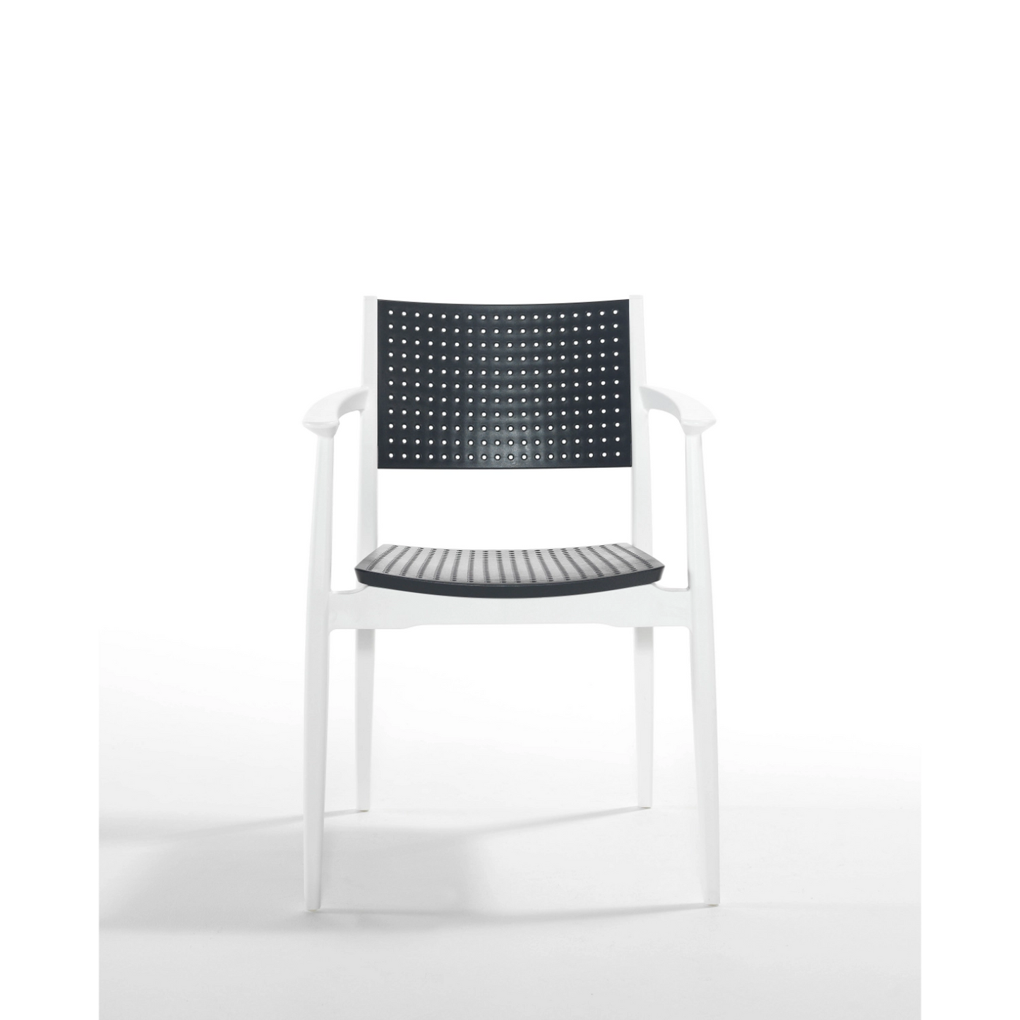 Novussi Seginus Koltuk