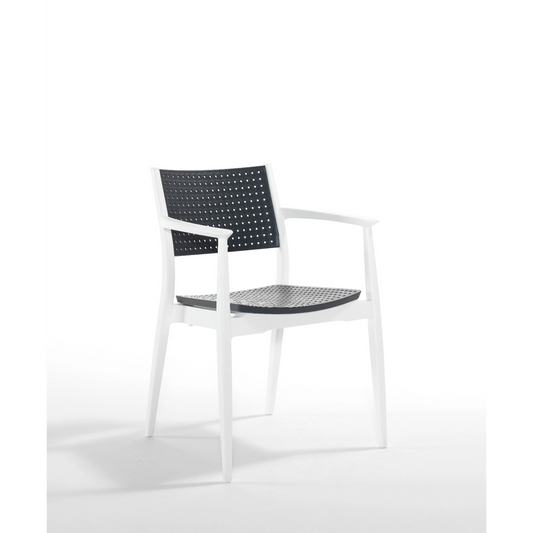 Novussi Seginus Koltuk