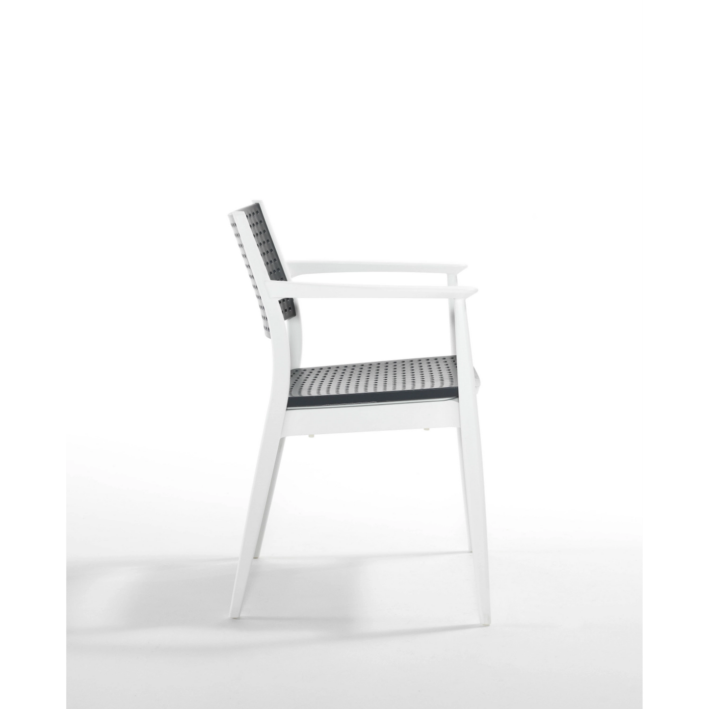 Novussi Seginus Koltuk