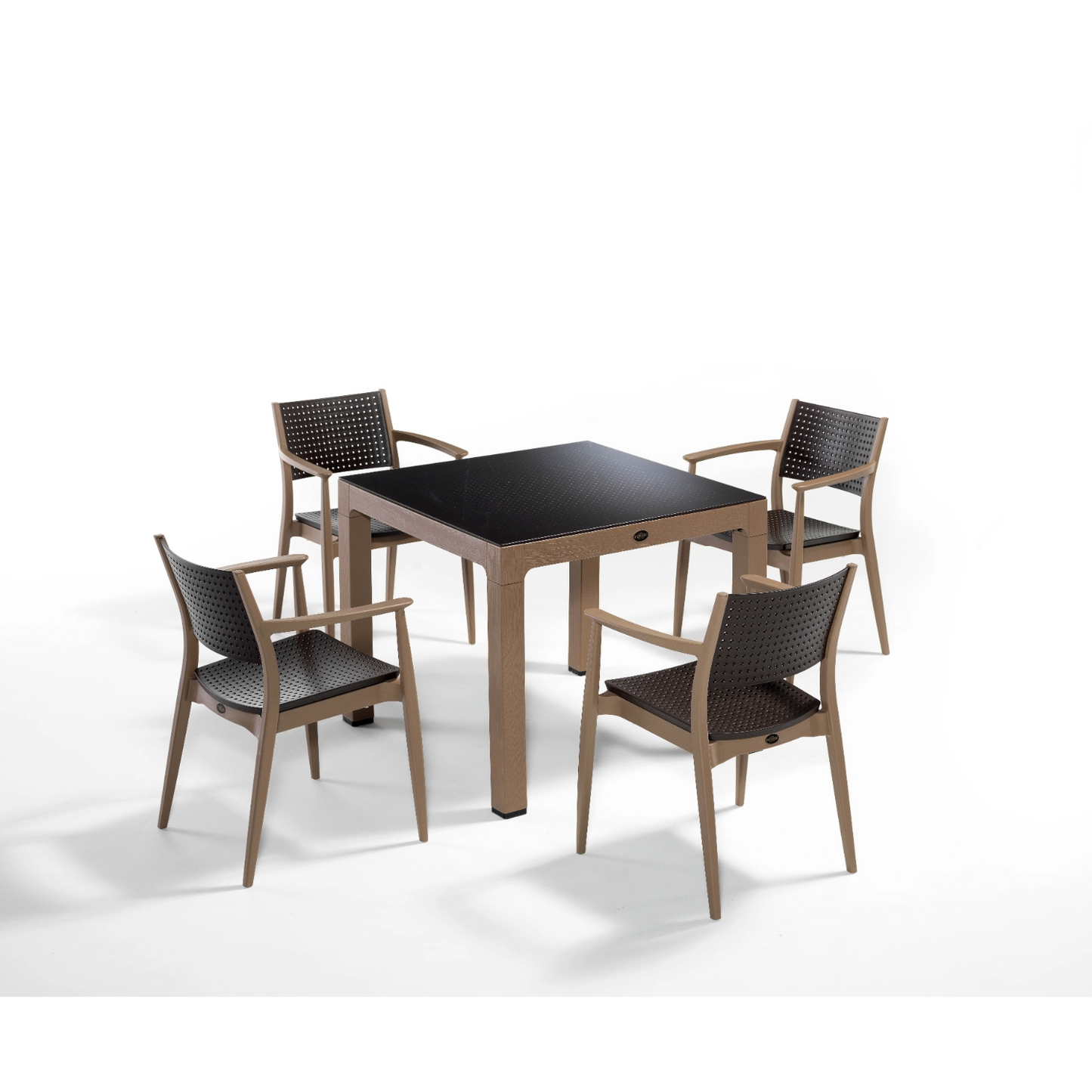 Novussi Seginus Set of 4