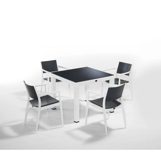 Novussi Seginus 4'lü Set