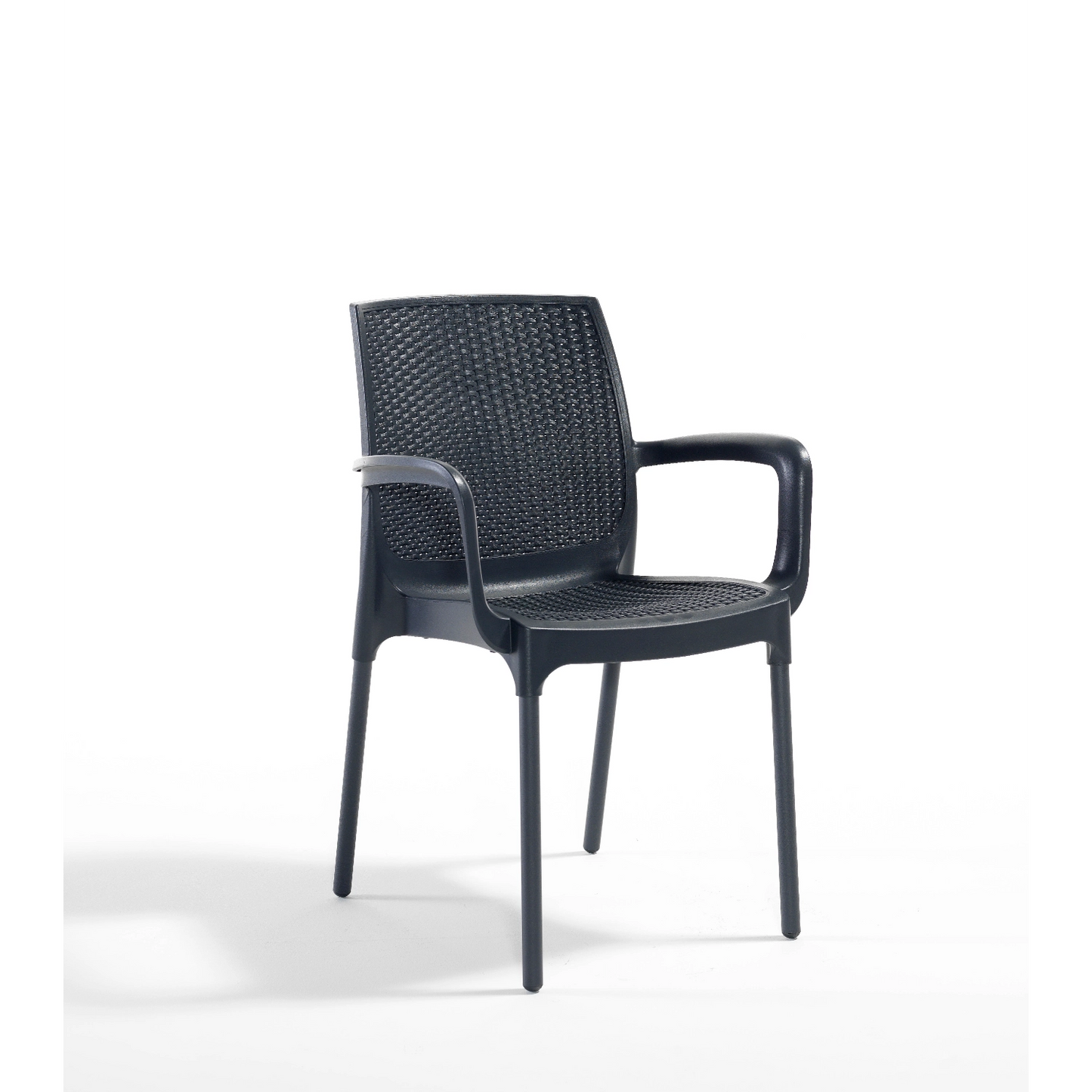 Novussi Sunset Koltuk