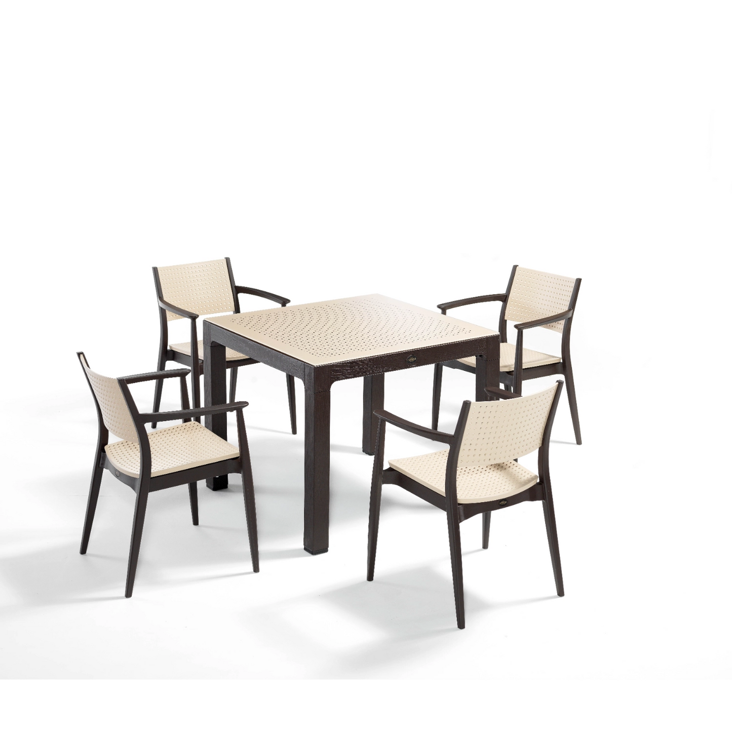 Novussi Seginus 4'lü Set